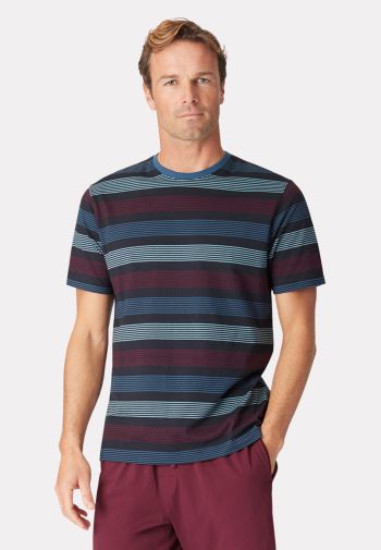 Guiseley Short Sleeve Navy Wine and Denim Blue Stripe T-Shirt